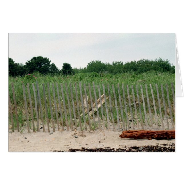 Direction la plage (Devant horizontal)