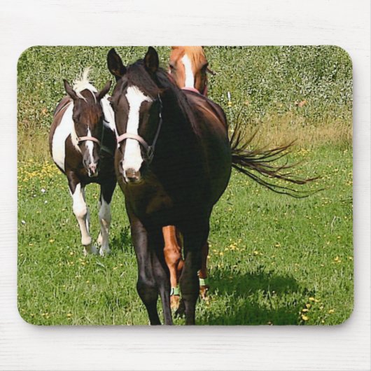 Diriger à la maison le tapis de souris (Devant)