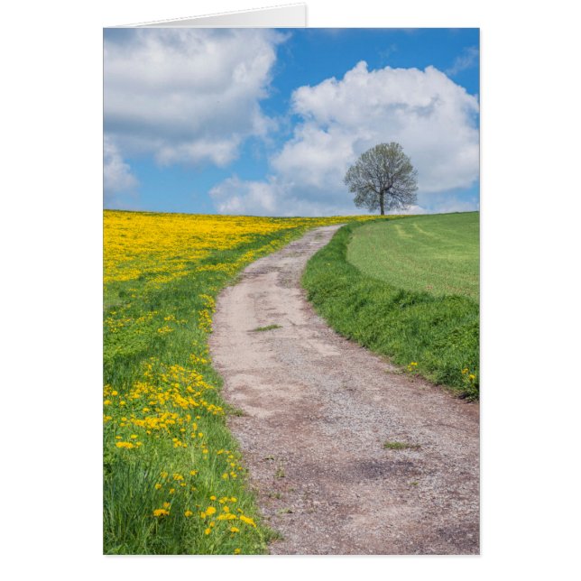 Dirt Road and Tree (Devant)