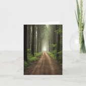 Dirt Road Dans Green Forest (Devant)