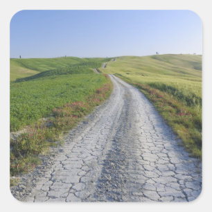 Dirt Road door Fields and Hills, Val d'Orcia Vierkante Sticker