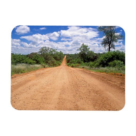 Dirt Road, Kruger National Park, Mpumalanga Magneet (Horizontaal)
