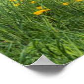 Dirt Road & Tree Poster (Hoek)