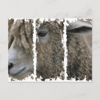 Dirty 3Tall Boxes Briefkaart