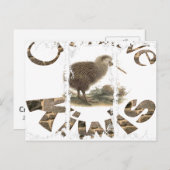 Dirty 3Tall Boxes Briefkaart (Voorkant / Achterkant)