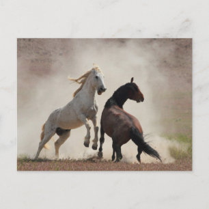 Dirty Business Briefkaart