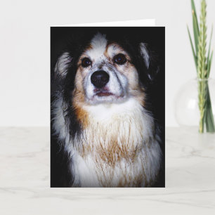 Dirty Digger Doggie Kaart