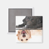 Dirty Dog Clean Dog Dishwasmachine Magnet Magneet (Voorkant / Achterkant)