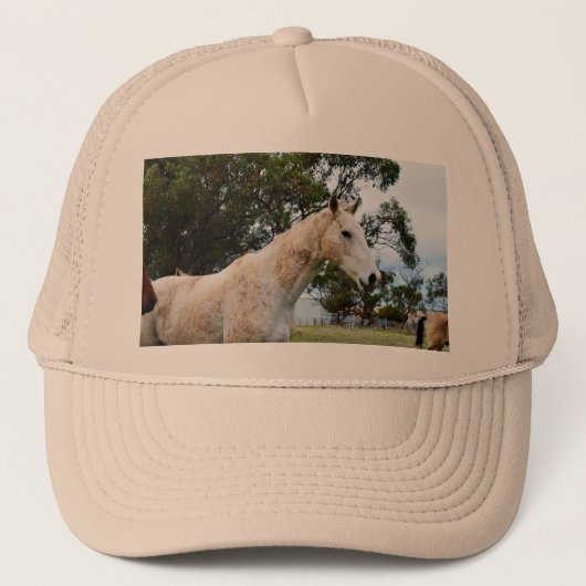 Dirty Fun: Muddy Groot Wit Paard, Trucker Pet (Voorkant)