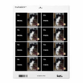 DIS is U Etiket (Full Sheet)