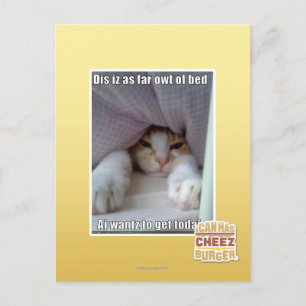 Dis is zo ver weg van bed. briefkaart