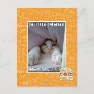 Dis is zo ver weg van bed. briefkaart