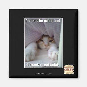 Dis is zo ver weg van bed. magneet