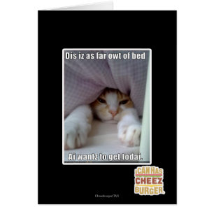 Dis iz als ver owt van bed.