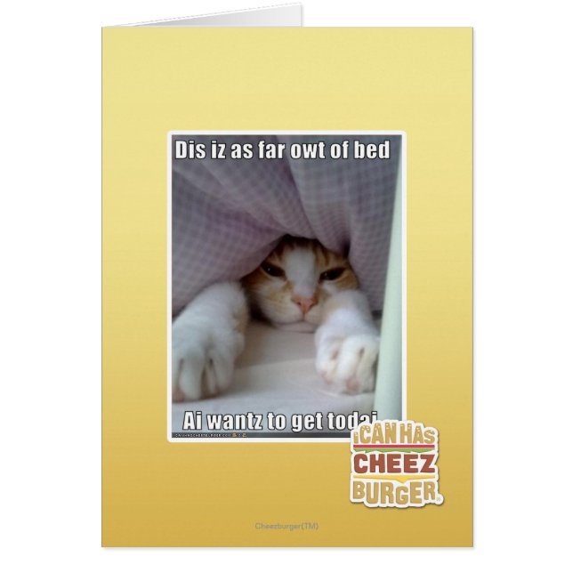 Dis iz als ver owt van bed. (Voorkant)