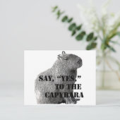Dis, "Oui," à la carte postale du capybara (Debout devant)