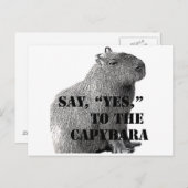 Dis, "Oui," à la carte postale du capybara (Devant / Derrière)
