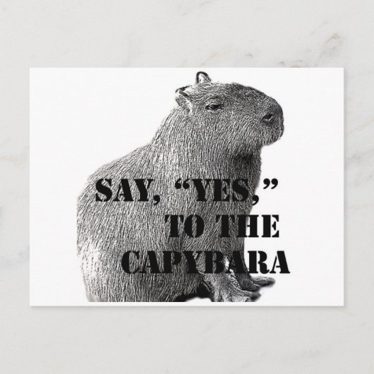Dis, "Oui," à la carte postale du capybara (Devant)