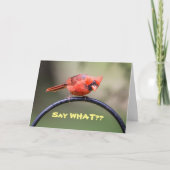 Dis Quoi ? Carte de correspondance (Devant)