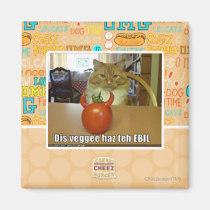 Dis veggee haz de EBIL Magneet