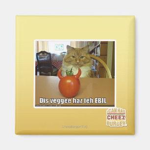 Dis veggee haz de EBIL Magneet
