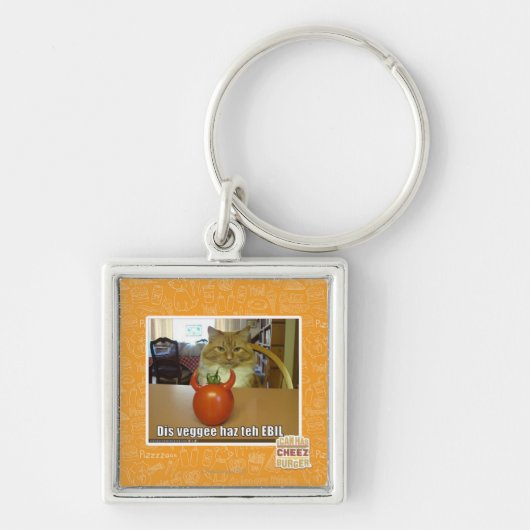 Dis veggee haz de EBIL Sleutelhanger (Voorkant)