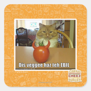 Dis veggee haz de EBIL Vierkante Sticker