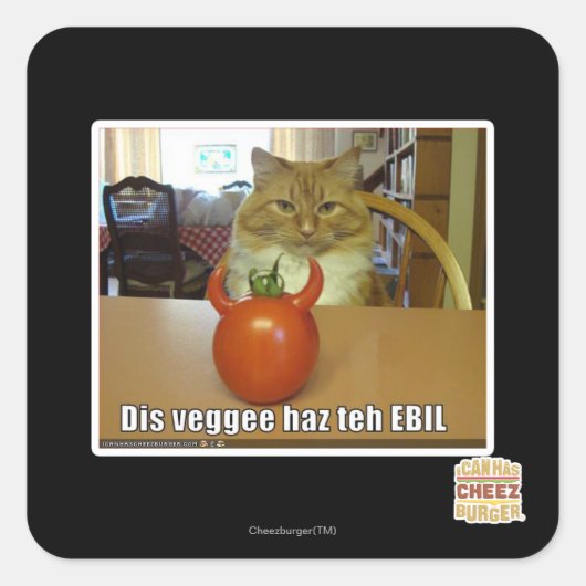 Dis veggee haz de EBIL Vierkante Sticker (Voorkant)