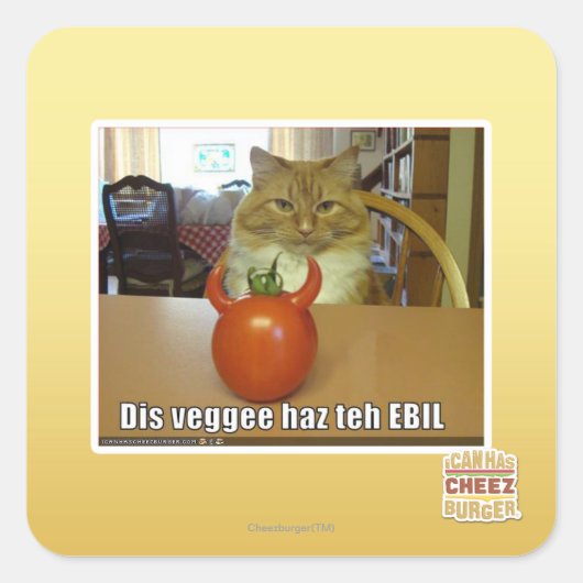 Dis veggee haz de EBIL Vierkante Sticker (Voorkant)