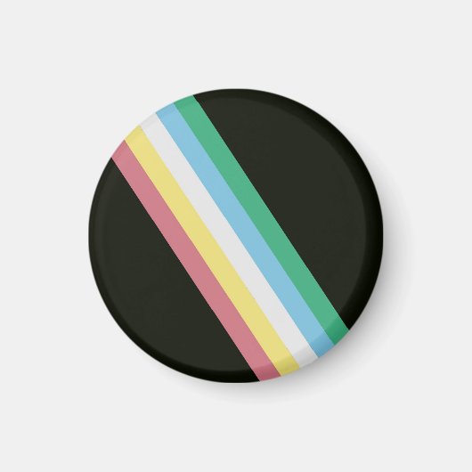 Disability Pride Flag Magneet (Voorkant)