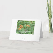 "Disant le bonjour carte de Wisconsin" (Dos)