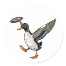 Disc Golfen Eend Grappige Vogel
