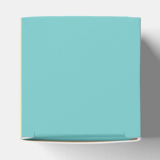 Disco Ball Baby shower Groovy Rainbow Bedankdoosjes (Bovenkant)