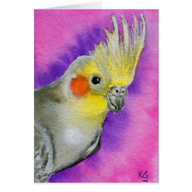 Disco Cockatiel (Voorkant)