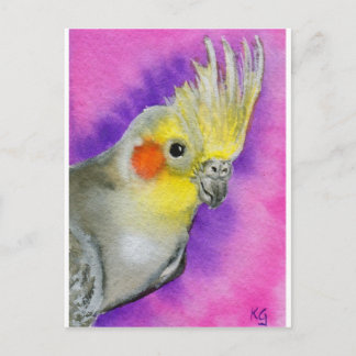 Disco Cockatiel Briefkaart