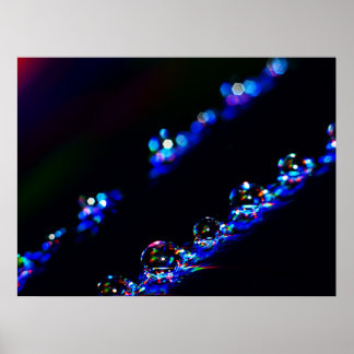 Disco-druppels Poster