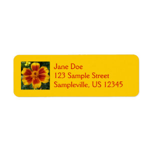 Disco Marigold Oranje en Red Summer Flower Etiket