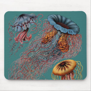 Disco Medusae van Ernst Haeckel Muismat