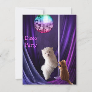 Disco Party Dog Cat Maltese Bachelorette Kaart