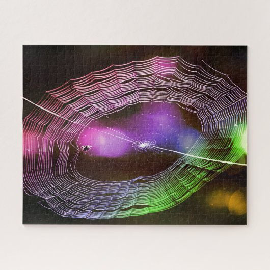 Disco Style Spider Web Puzzle Legpuzzel (Horizontaal)
