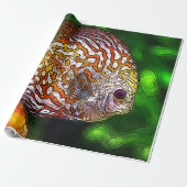 Discus_20170601_by_JAMColors Cadeaupapier (Uitgerold)