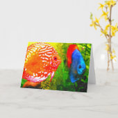 Discus aquarium poisson toutes les occasions carte (Fleur jaune)