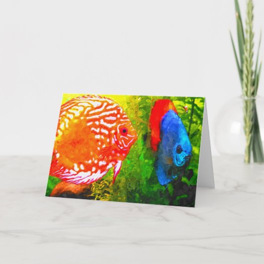 Discus aquarium poisson toutes les occasions carte (Devant)