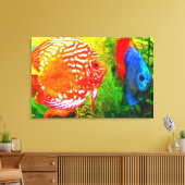 Discus aquarium vis canvas print (Insitu (Woonkamer))