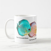 Discus fish koffiemok (Links)