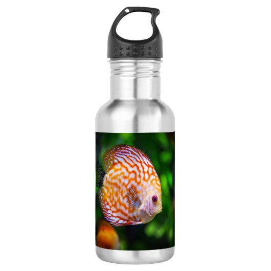 Discus fish waterfles (Voorkant)