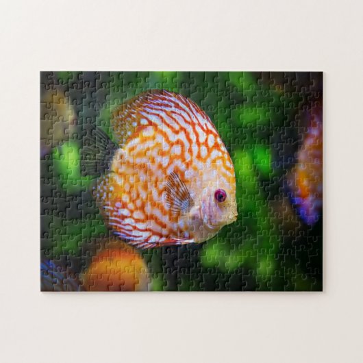 Discus Legpuzzel (Horizontaal)