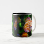 Discus Tweekleurige Koffiemok (Voorkant rechts)