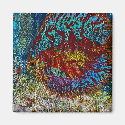 Discus vismagneet magneet (Voorkant)