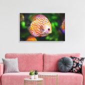 Discusvis canvas (Insitu (Woonkamer))